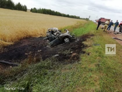 В Татарстане заживо сгорел водитель легковушки после столкновения с грузовиком