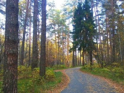 В Татарстане сохранится сильный ветер