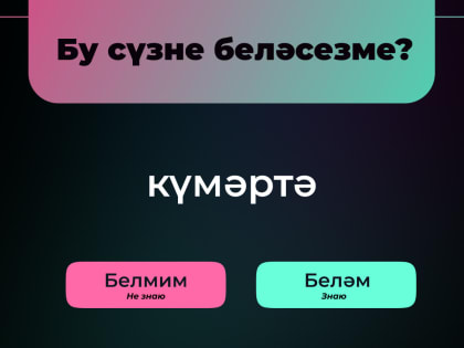 Новый проект, направленный на популяризацию татарского языка “Сүз байлыгы”