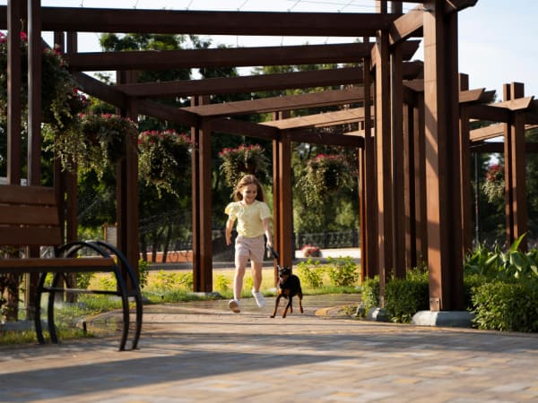 Пергола и материалы для её создания: что выбрать для стиля и долговечности