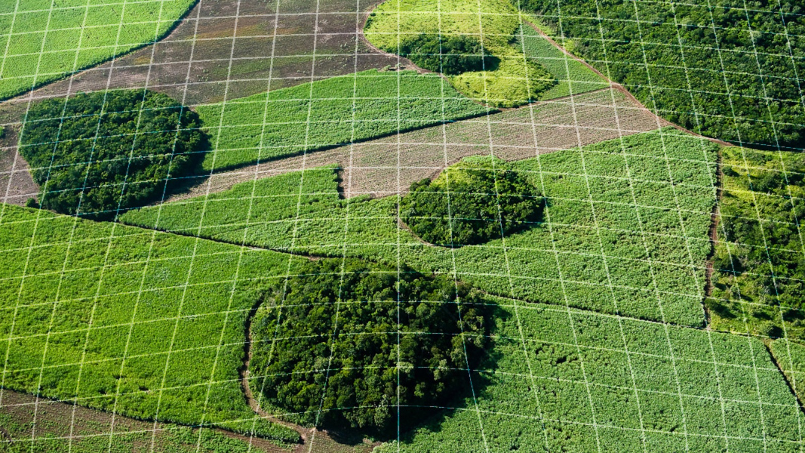 Precision agriculture. Точечное земледелие. Высокоточное земледелие. Геоинформационные технологии в сельском хозяйстве. Геоинформационные системы в растениеводстве.