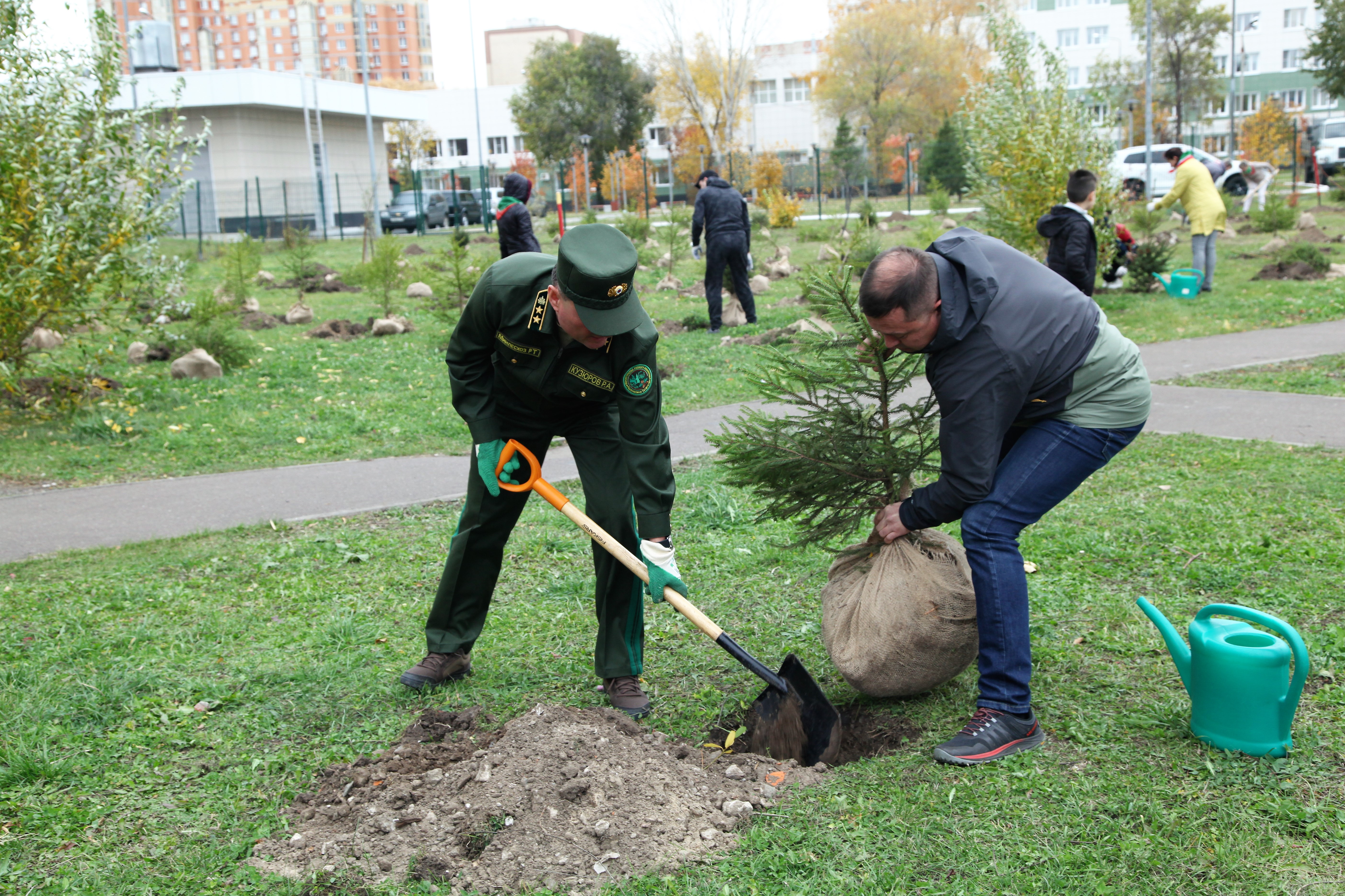 Высадка деревьев акция