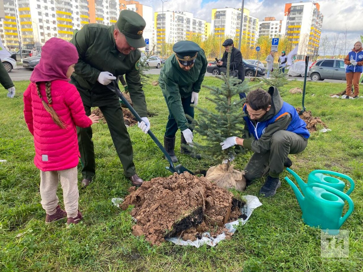 Высадка деревьев акция