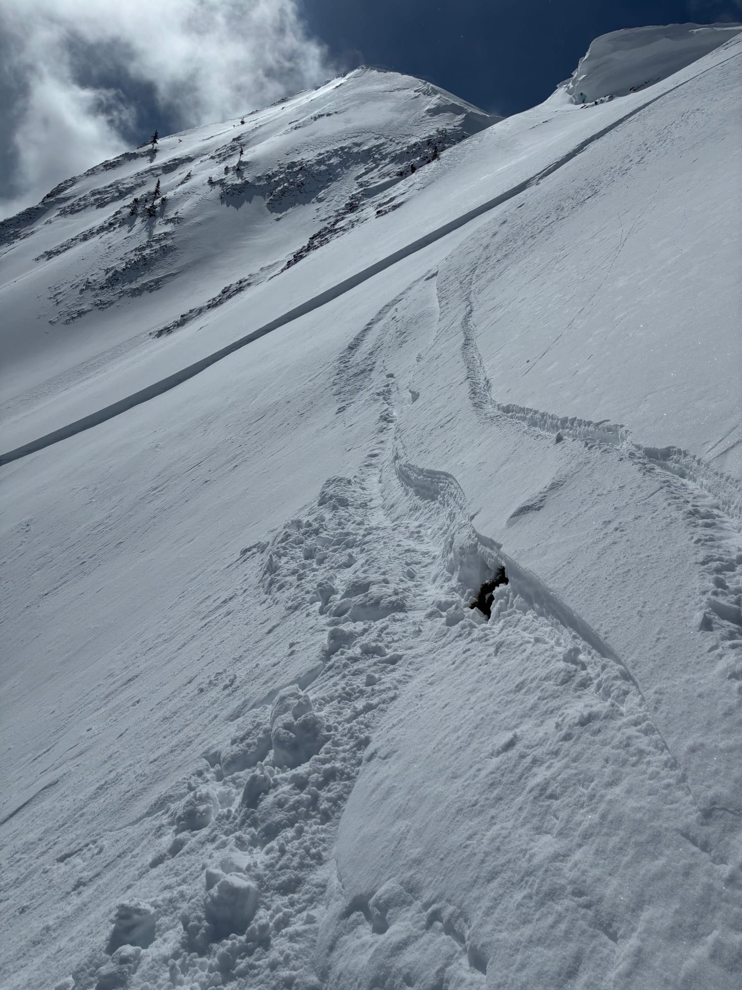 Observation photo