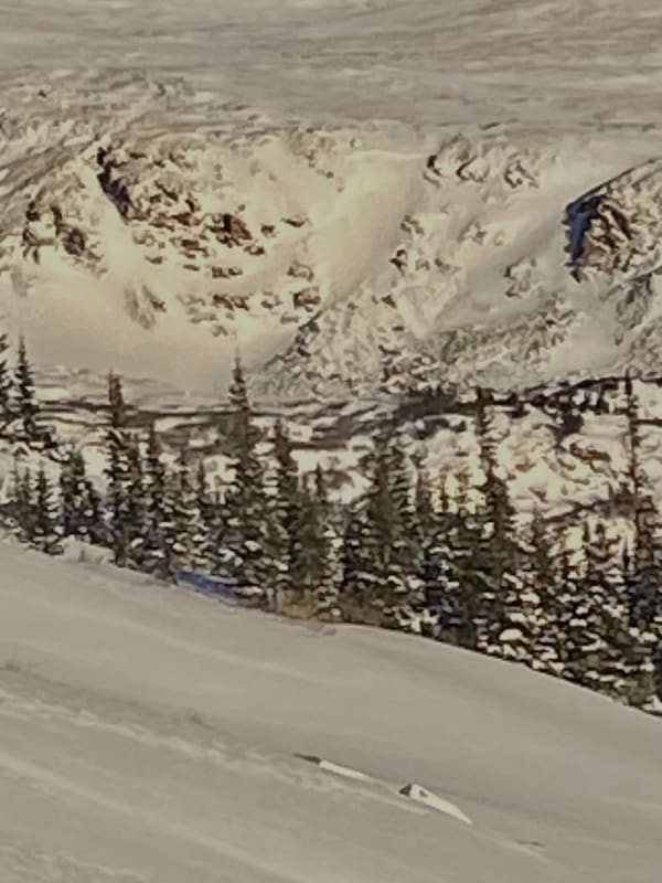 Observation photo 2