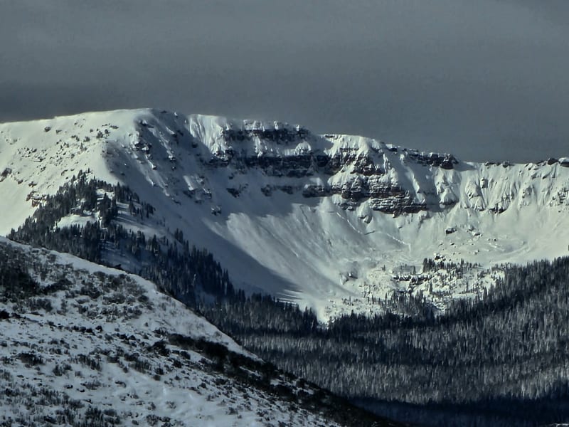 Observation photo 3