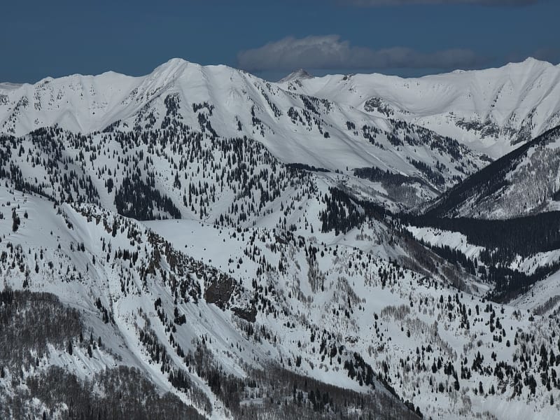 Observation photo 8