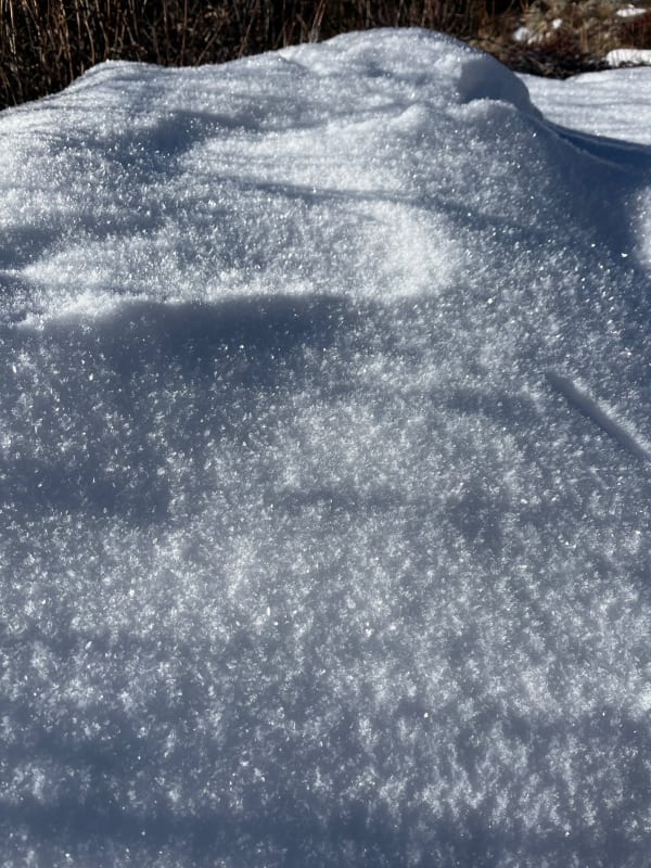 Observation photo 2