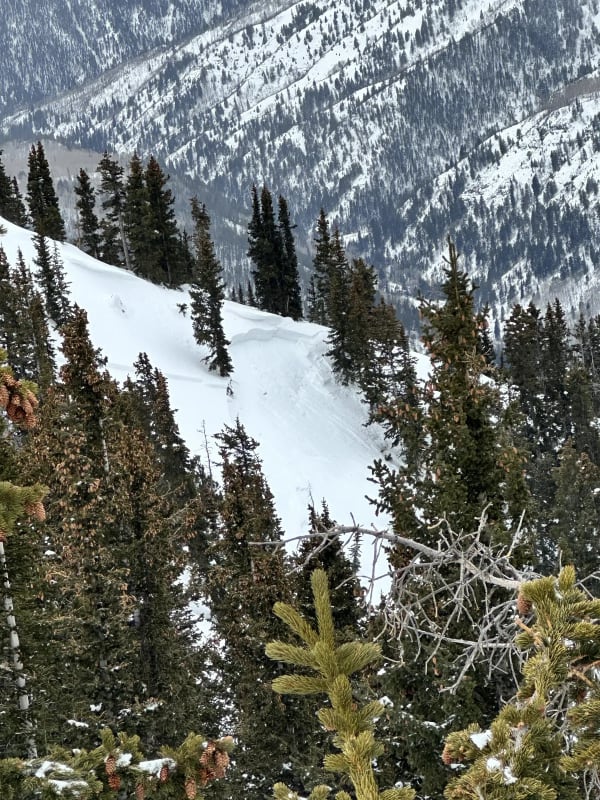 Observation photo 1