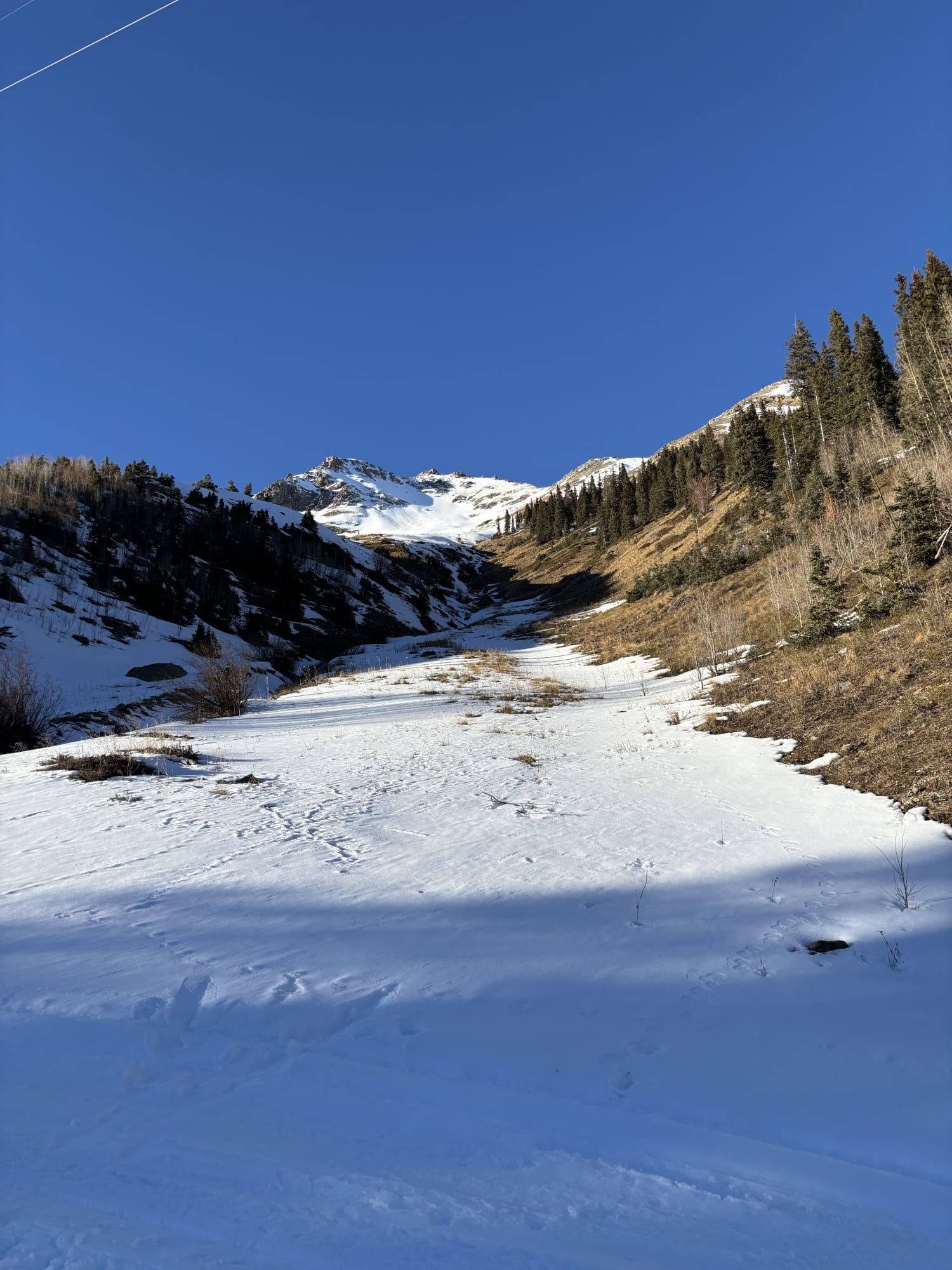 Observation photo