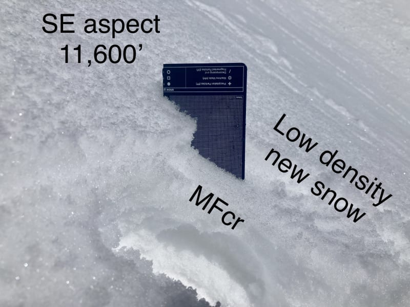 Observation photo 2