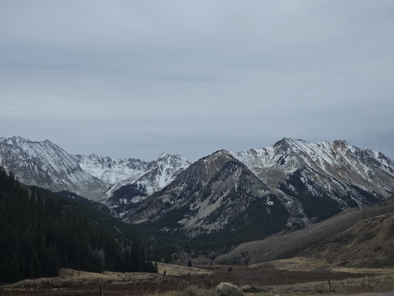 Observation photo 3