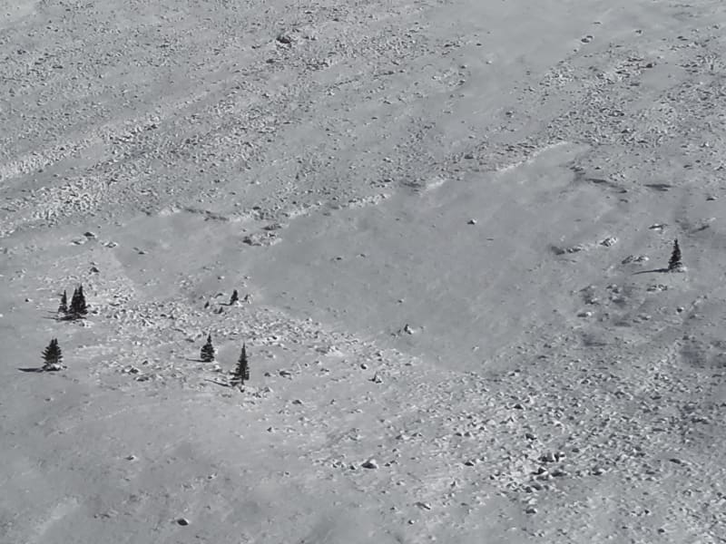 Observation photo 2