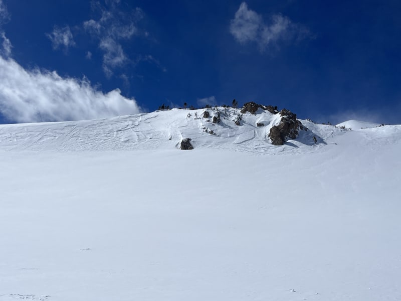 Observation photo 1