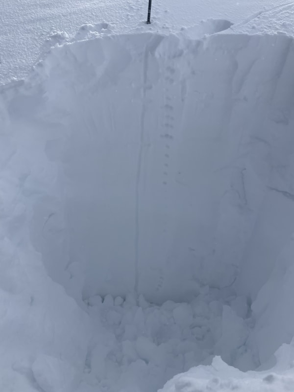 Observation photo 3