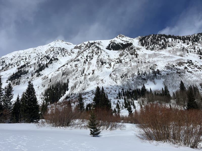 Observation photo 4