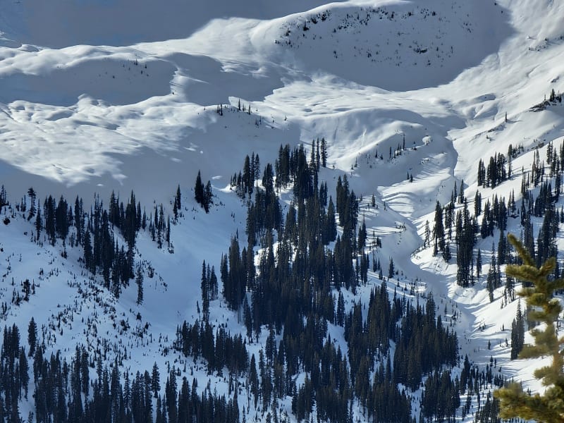 Observation photo 1