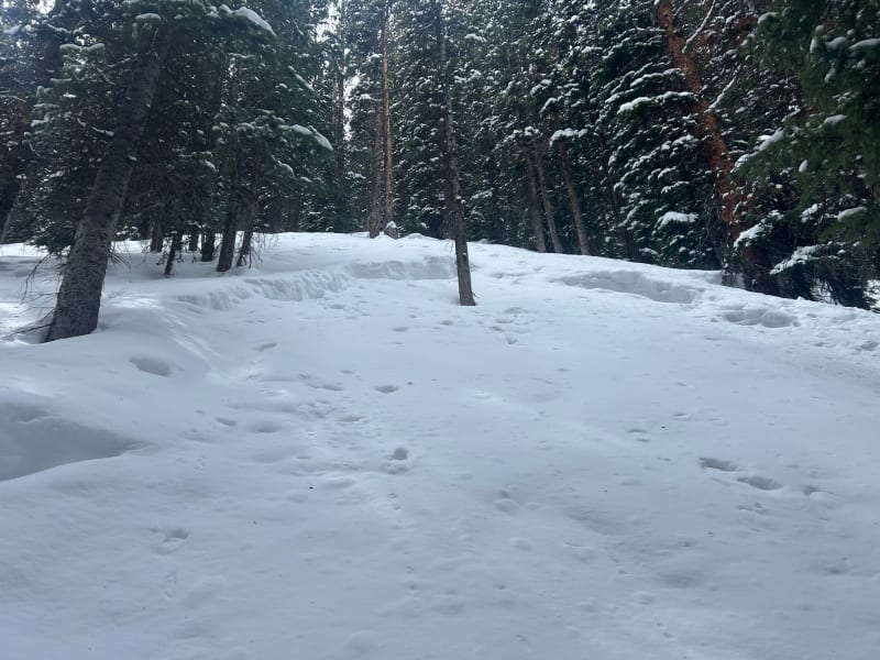 Observation photo 5