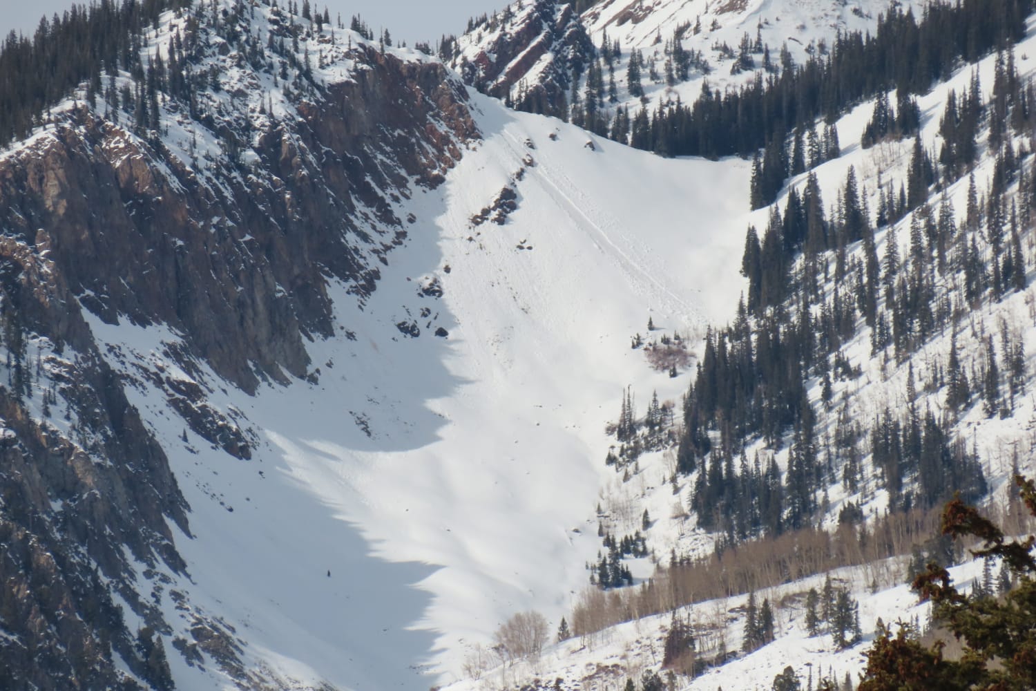 Observation photo