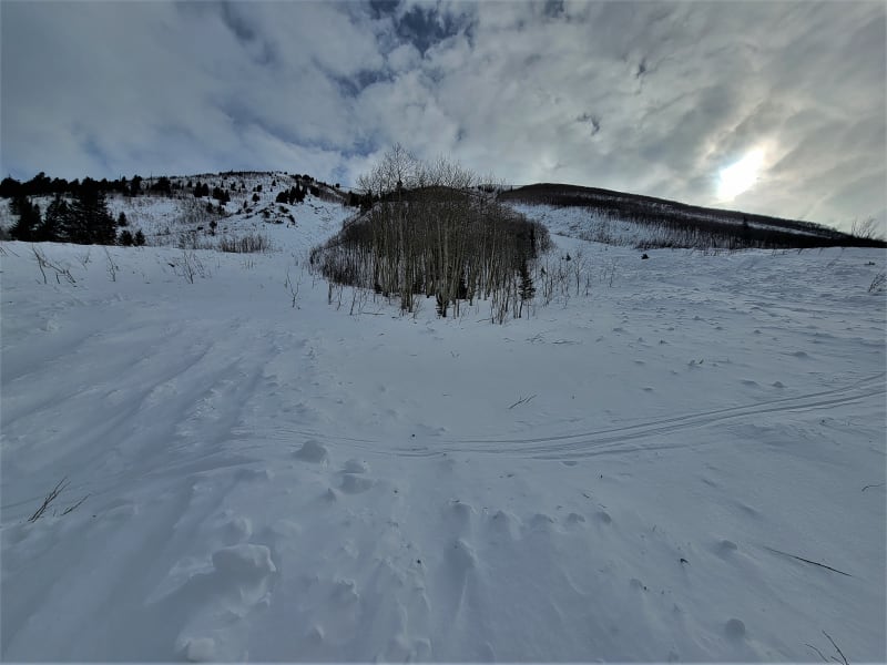 Observation photo 6
