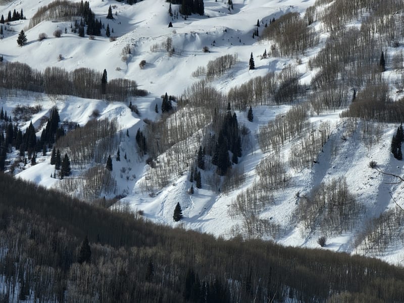 Observation photo 5