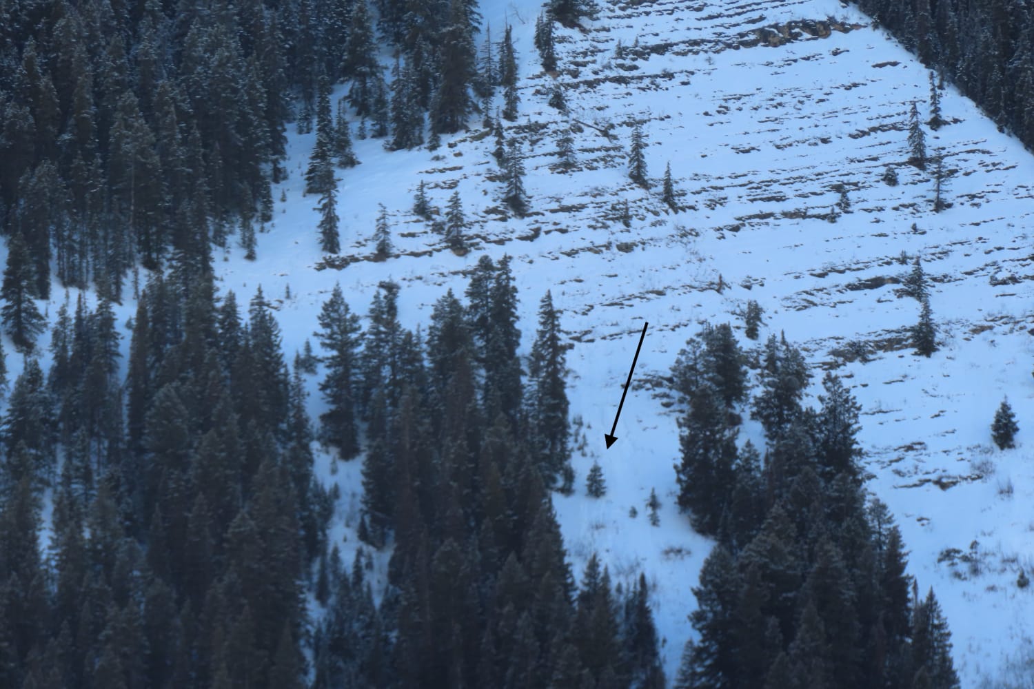 Observation photo