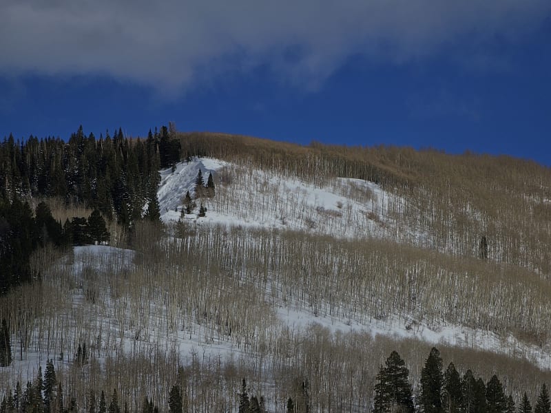 Observation photo 2