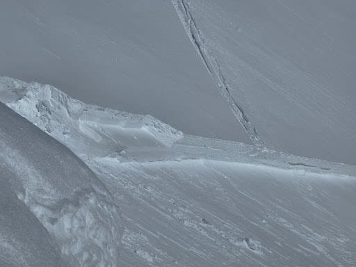 Observation photo 2
