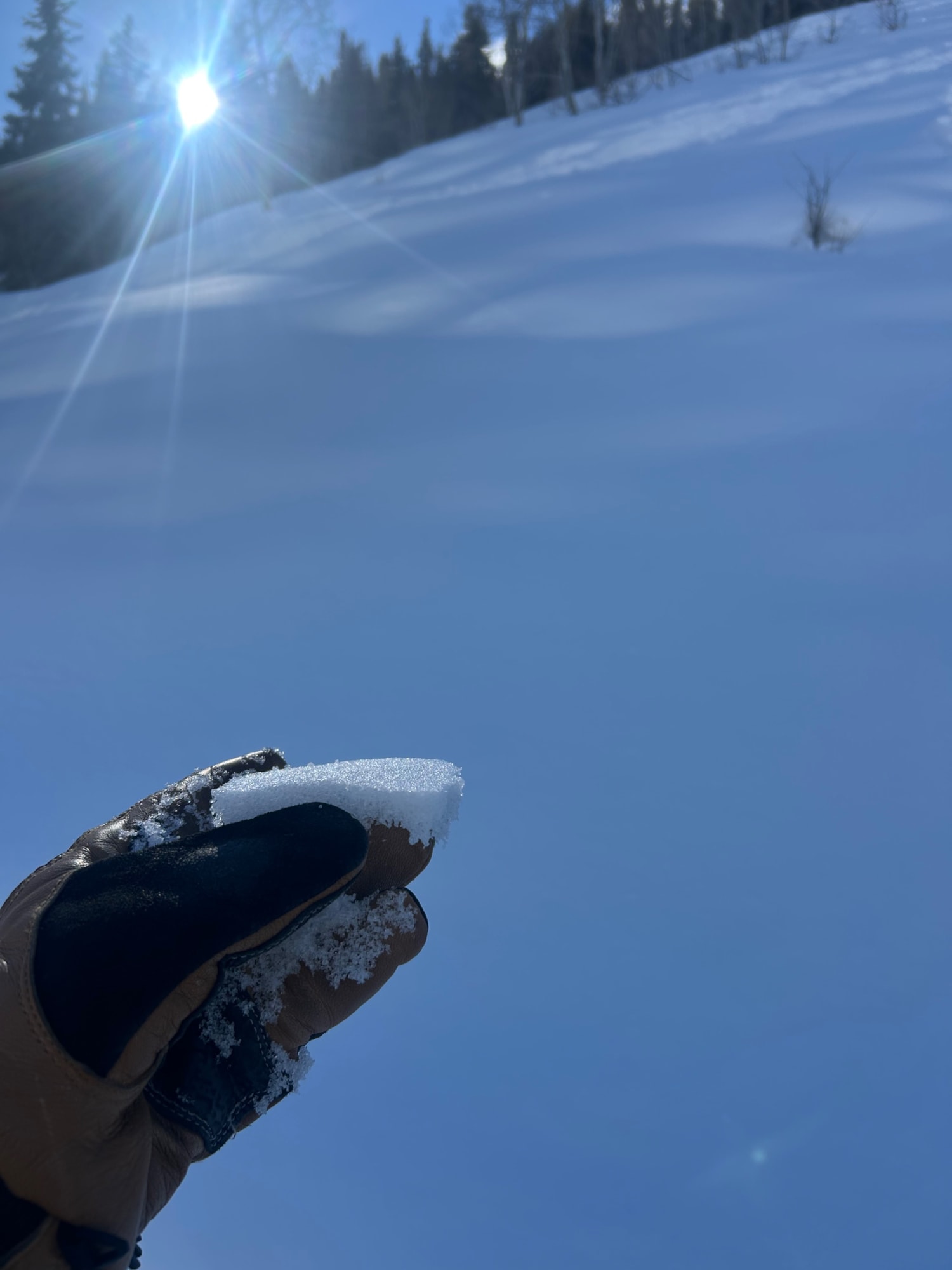 Observation photo