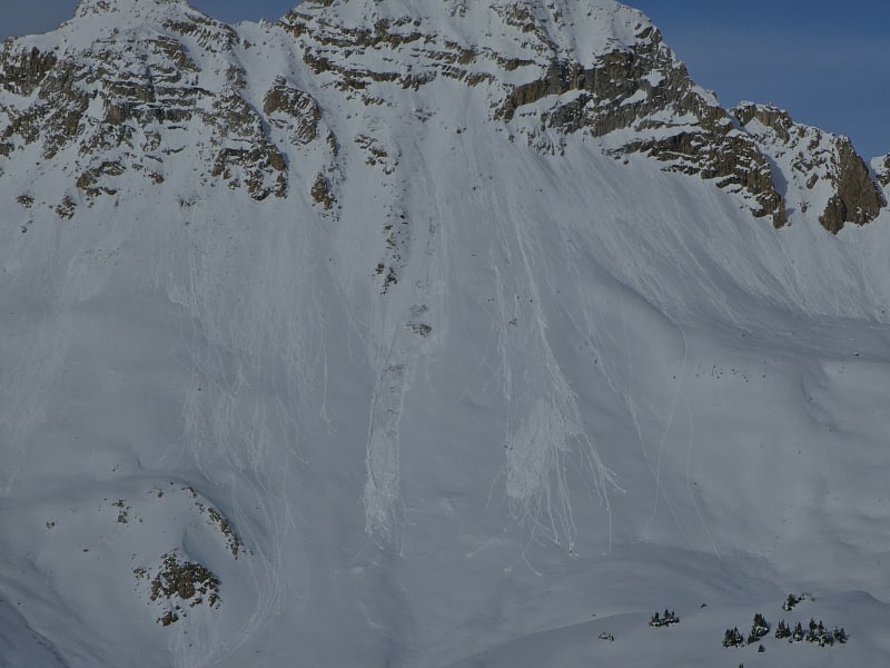 Observation photo 8