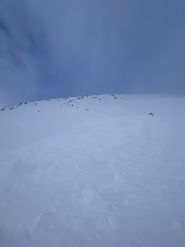 Observation photo 1
