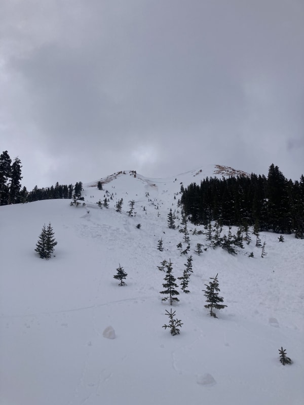 Observation photo 1