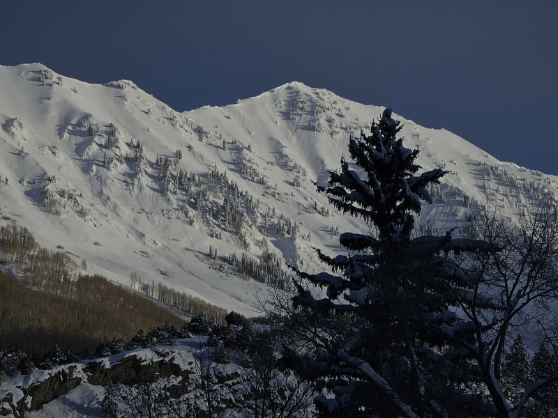 Observation photo 4