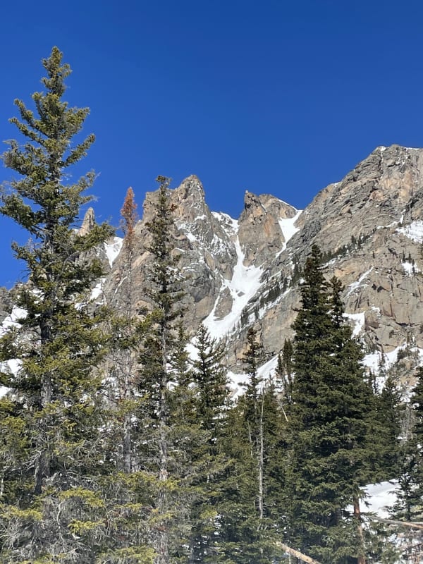 Observation photo 5