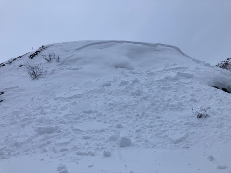 Observation photo 3