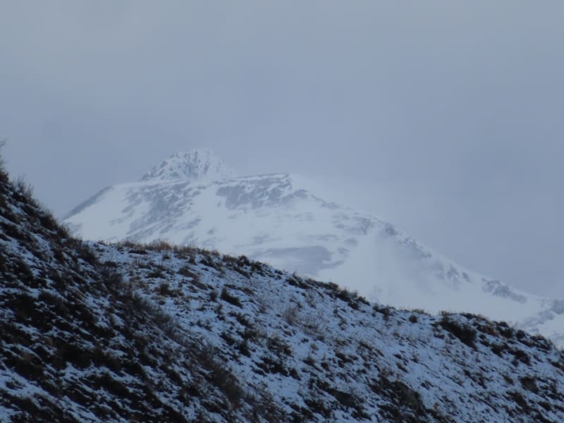Observation photo 1