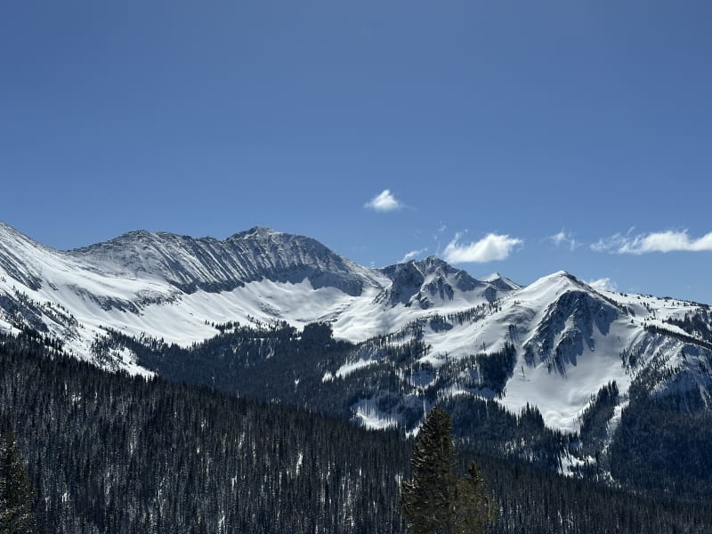 Observation photo 4