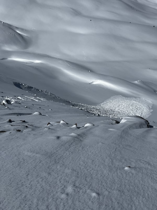 Observation photo 4