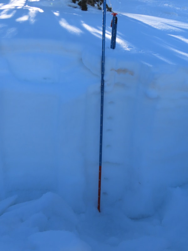 Observation photo 2