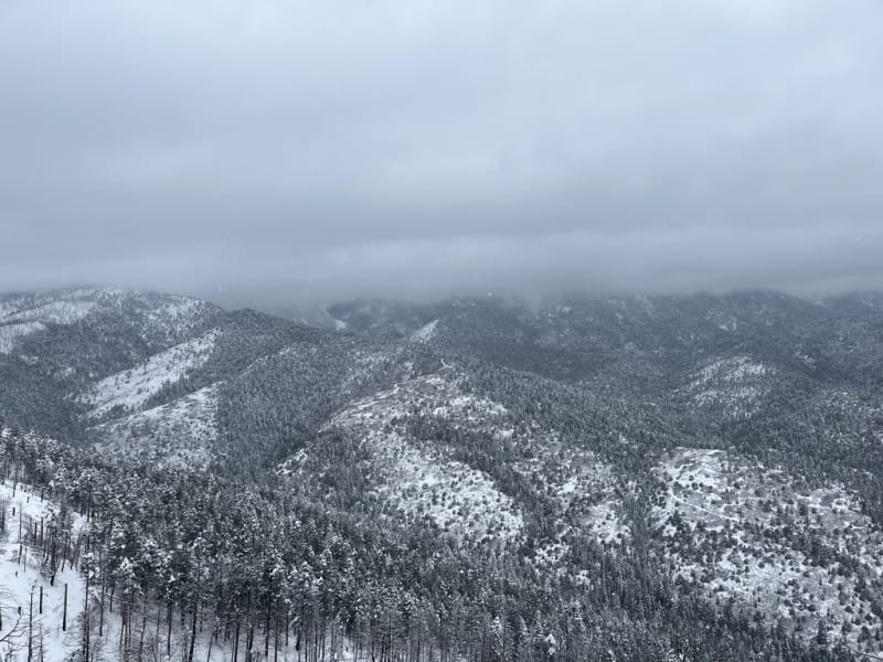 Observation photo 1