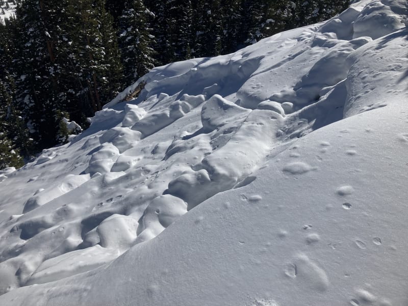 Observation photo 1