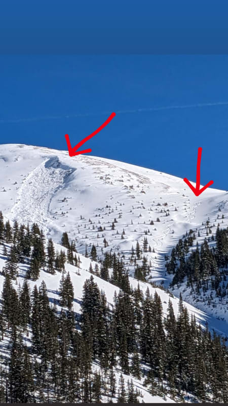 Observation photo 1