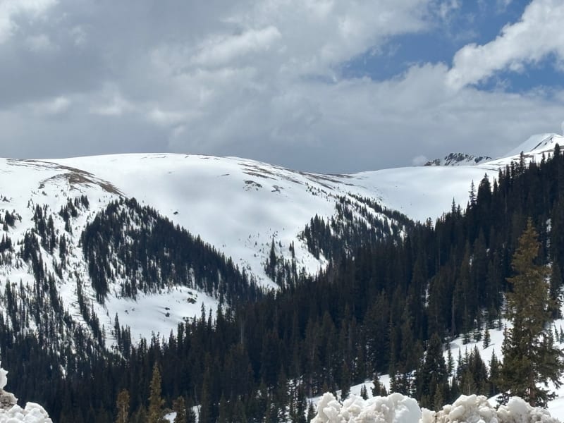 Observation photo 4