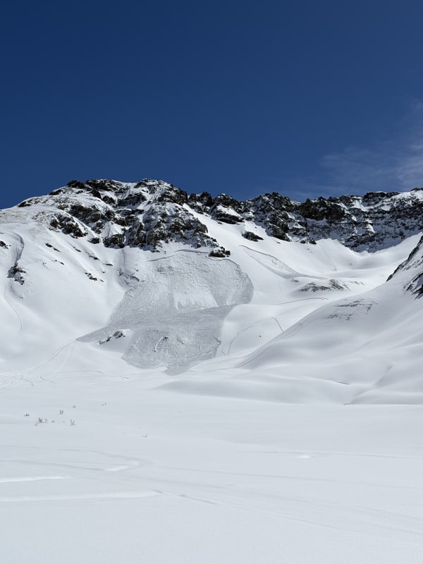 Observation photo 1