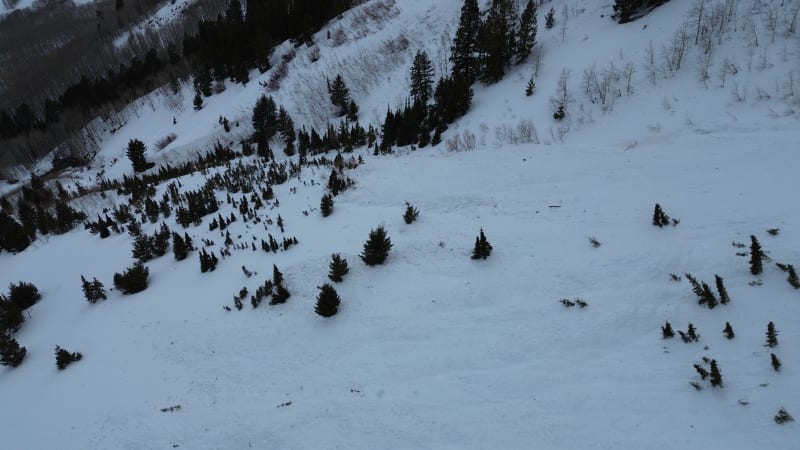 Observation photo 3