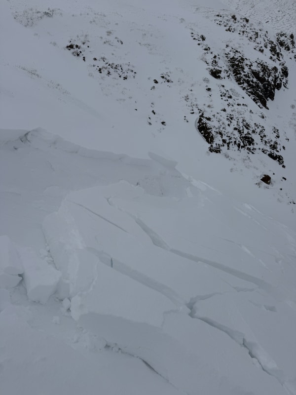 Observation photo 1