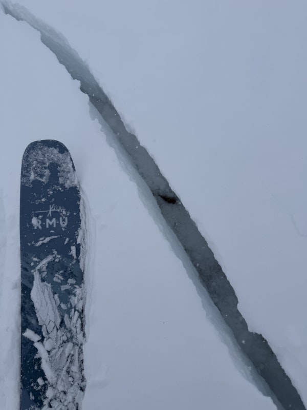 Observation photo 3