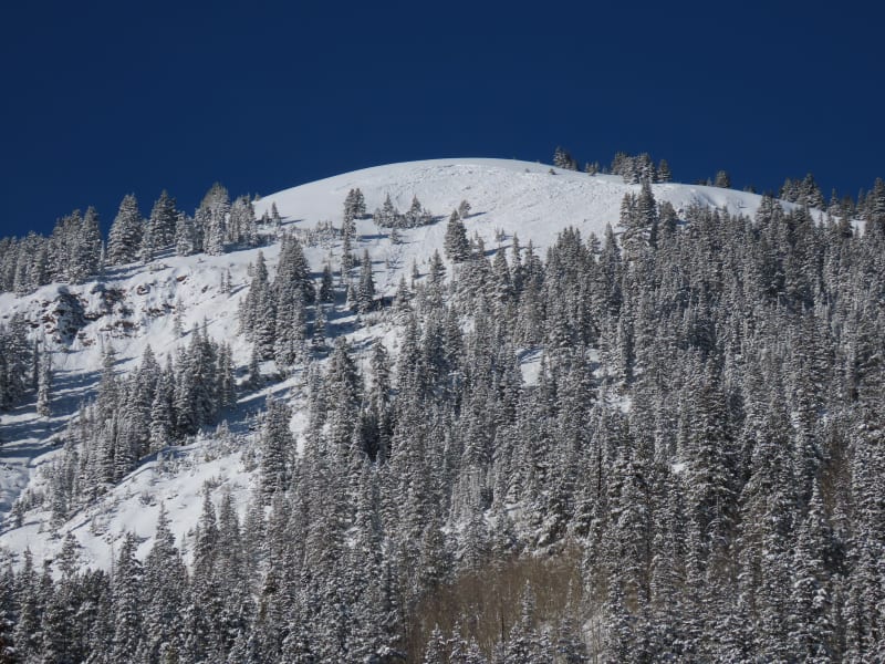 Observation photo 1
