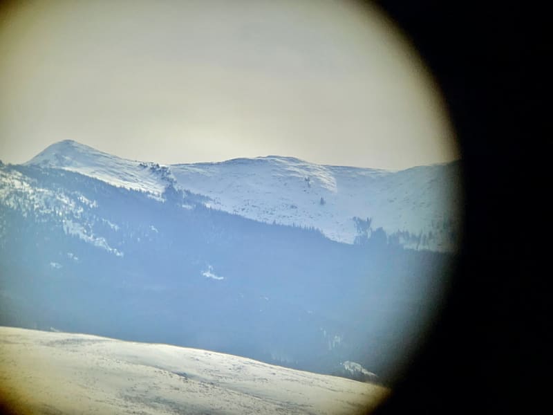 Observation photo 1