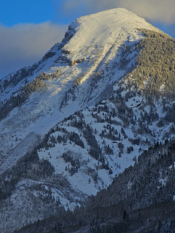 Observation photo 2